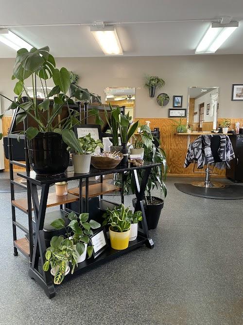 Local's Choice Haircutting